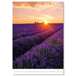 Nástěnný kalendář 2026 - Provence