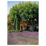Nástěnný kalendář 2026 Provence