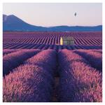 Nástěnný kalendář 2026 Provence