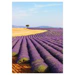Nástěnný kalendář 2026 Provence