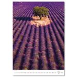 Nástěnný kalendář 2026 - Provence
