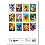 Nástěnný kalendář 2026 - Puppies/Welpen/Štěňátka/Šteniatka