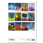 Nástěnný kalendář 2026 - Trees/Bäume/Stromy