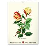 Nástěnný kalendář 2026 Vintage plakáty - Herbář