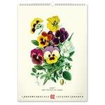 Nástěnný kalendář 2026 Vintage plakáty - Herbář