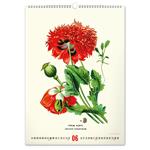 Nástěnný kalendář 2026 Vintage plakáty - Herbář