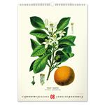 Nástěnný kalendář 2026 Vintage plakáty - Herbář