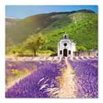 Nástěnný poznámkový kalendář 2022 Provence, voňavý