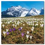 Nástěnný poznámkový kalendář 2023 Alpy