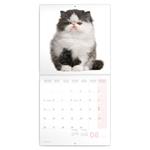 Nástěnný poznámkový kalendář 2023 Koťata