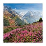 Nástěnný poznámkový kalendář 2024 Alpy