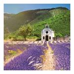 Nástěnný poznámkový kalendář 2024 Provence - voňavý