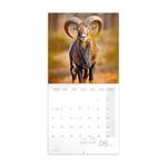 Nástěnný poznámkový kalendář 2024 Zvířátka z lesa