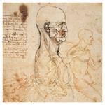 Nástěnný poznámkový kalendář 2026 Leonardo da Vinci