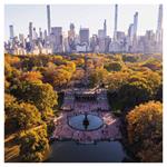 Nástěnný poznámkový kalendář 2026 New York