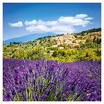 Nástěnný poznámkový kalendář 2026 Provence