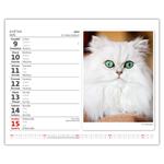 Stolní kalendář 2022 MiniMax - Kočičky/Mačičky