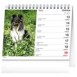 Stolní kalendář 2022 Psi - se jmény psů