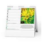 Stolní kalendář 2023 IDEÁL - Léčivé rostliny