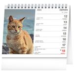 Stolní kalendář 2023 Kočky - se jmény koček
