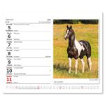 Stolní kalendář 2023 MiniMax - Koně/Kone