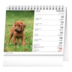 Stolní kalendář 2023 Psi - se jmény psů