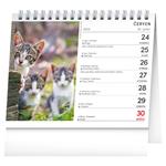 Stolní kalendář 2024 Kočky - se jmény koček