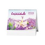 Stolní kalendář 2024 Levandule